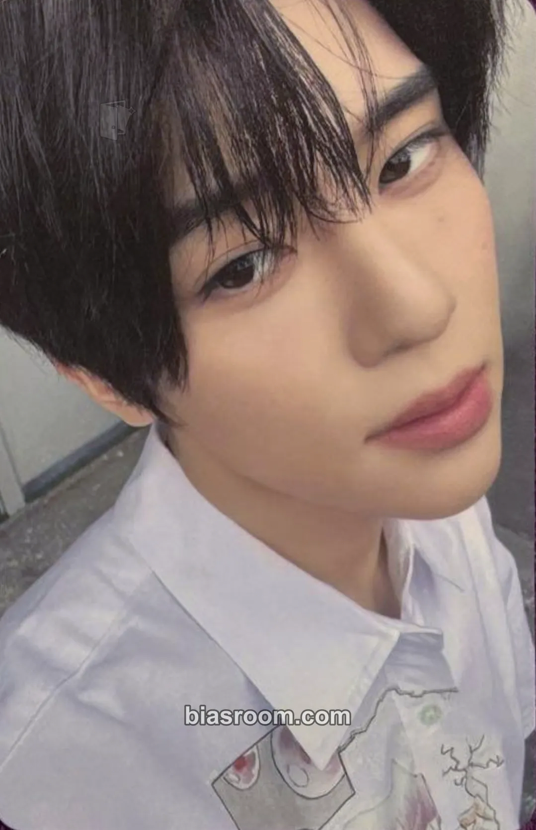 Sion I SPY Photocard - NCT WISH - NCT WISH K-pop photocard