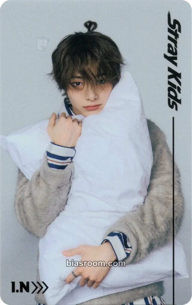 Photocard K-pop de I.N Stray Kids RUN IT World Tour