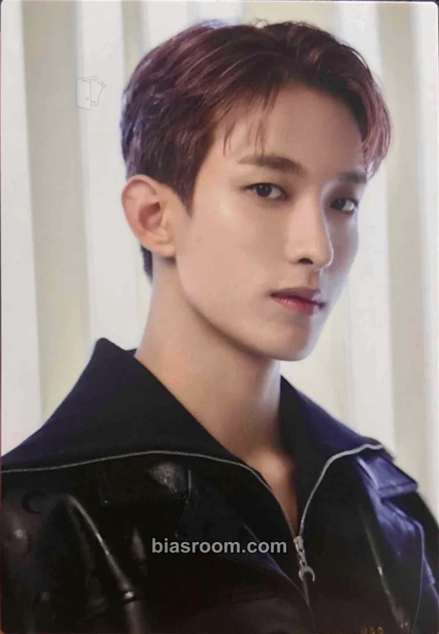 DK SEVENTEEN [FOLLOW] TOUR K-pop photocard