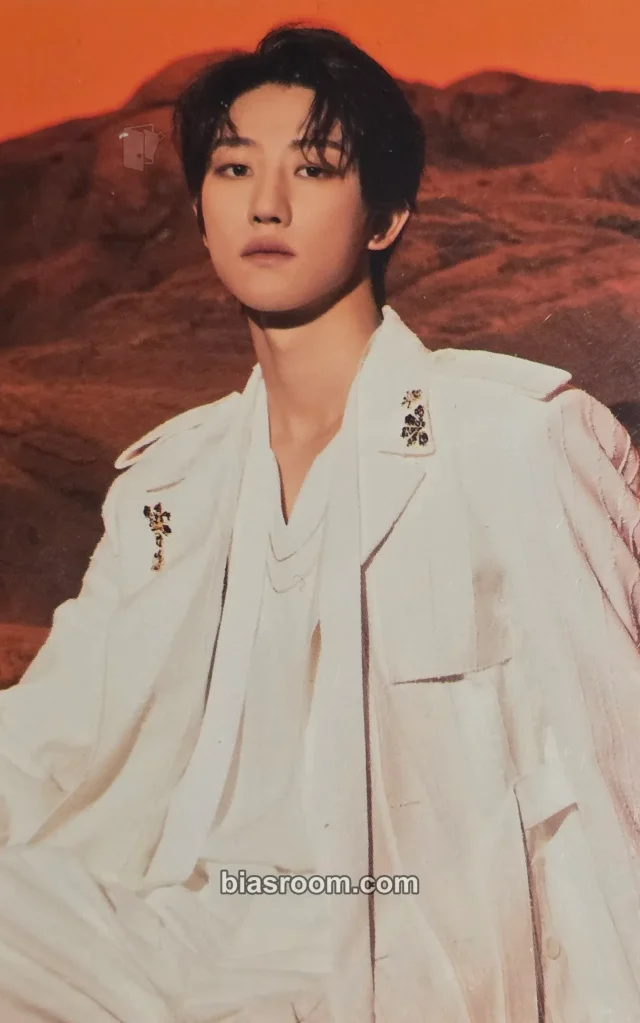 The8 SEVENTEEN [BE THE SUN] WORLD TOUR K-pop 小卡