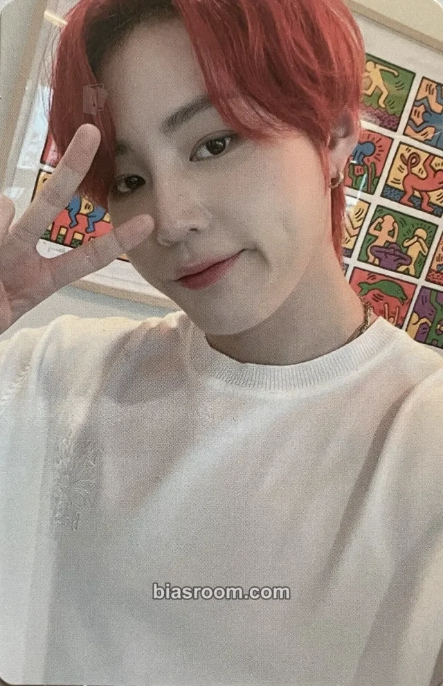 Ha Sung Woon Ha Sung Woon Strange World K-pop photocard