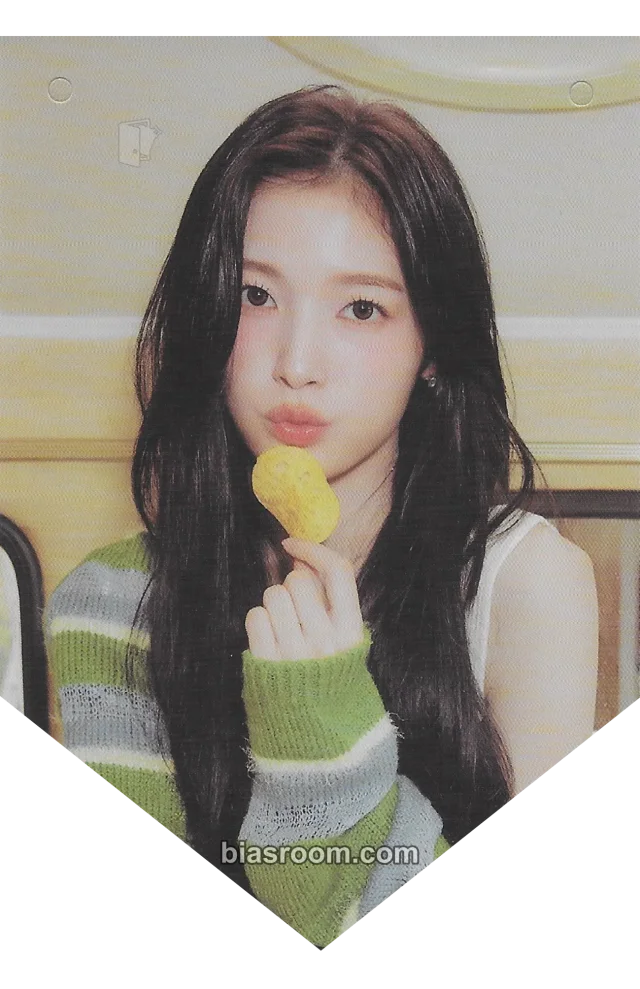 Arin OH MY GIRL 2025 Season's Greetings [LET'S GO ON A TRIP] K-pop photocard