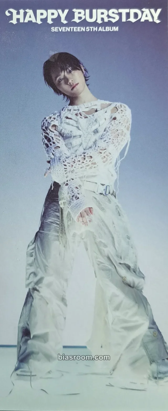 Photocard K-pop Dino SEVENTEEN HAPPY BURSTDAY