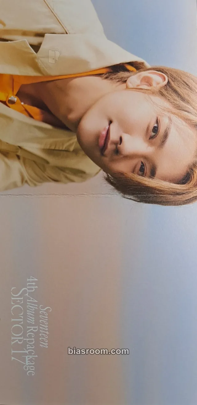 Photocard K-pop di Joshua SEVENTEEN SECTOR 17