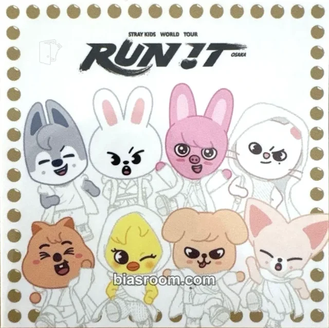 Stray Kids RUN IT World Tour K-pop photocard