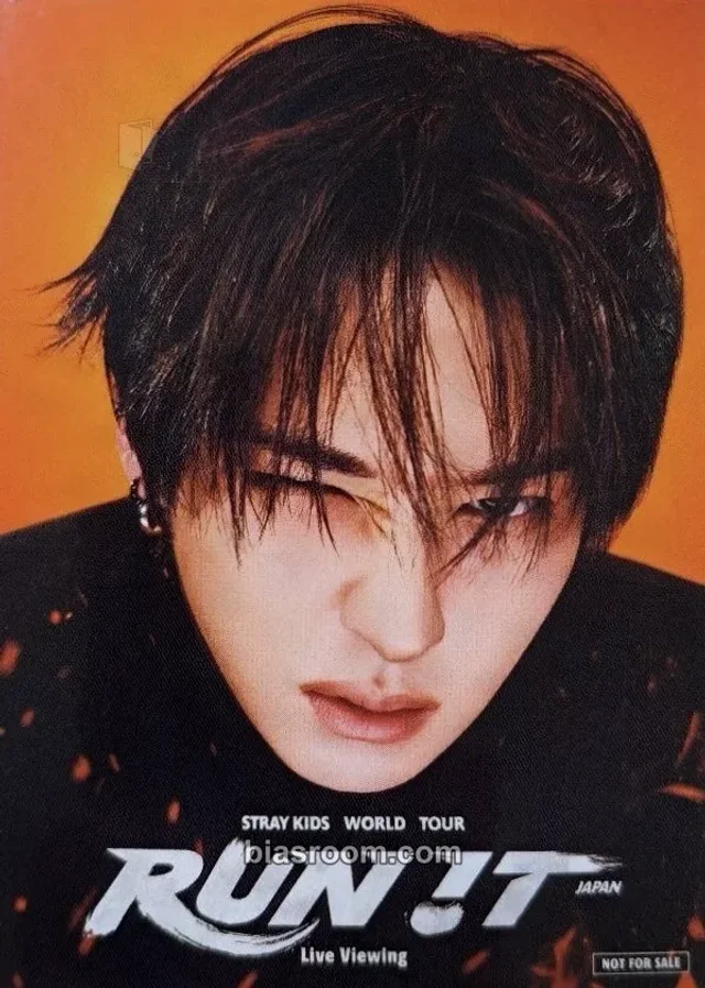 Lee Know Stray Kids RUN IT World Tour K-pop 小卡