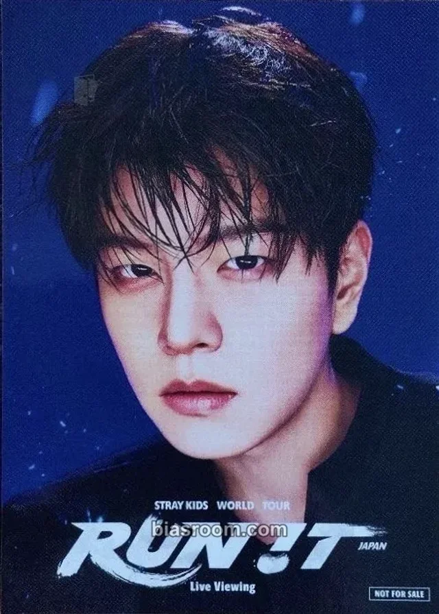 Seungmin Stray Kids RUN IT World Tour K-pop 小卡
