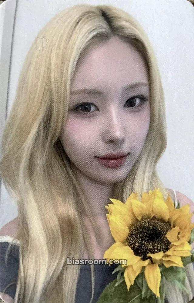 Hwayeon ifeye As If K-pop 포토카드