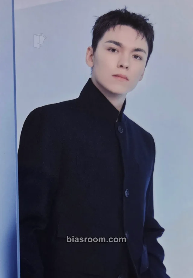 Vernon SEVENTEEN [NEW_] WORLD TOUR K-pop 포토카드