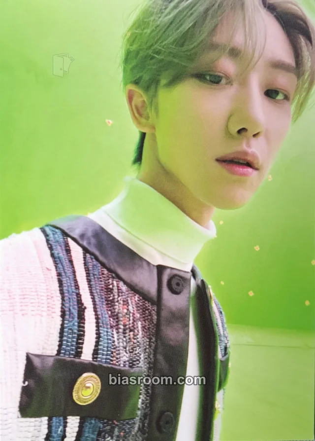 The8 SEVENTEEN Power of Love K-pop photocard