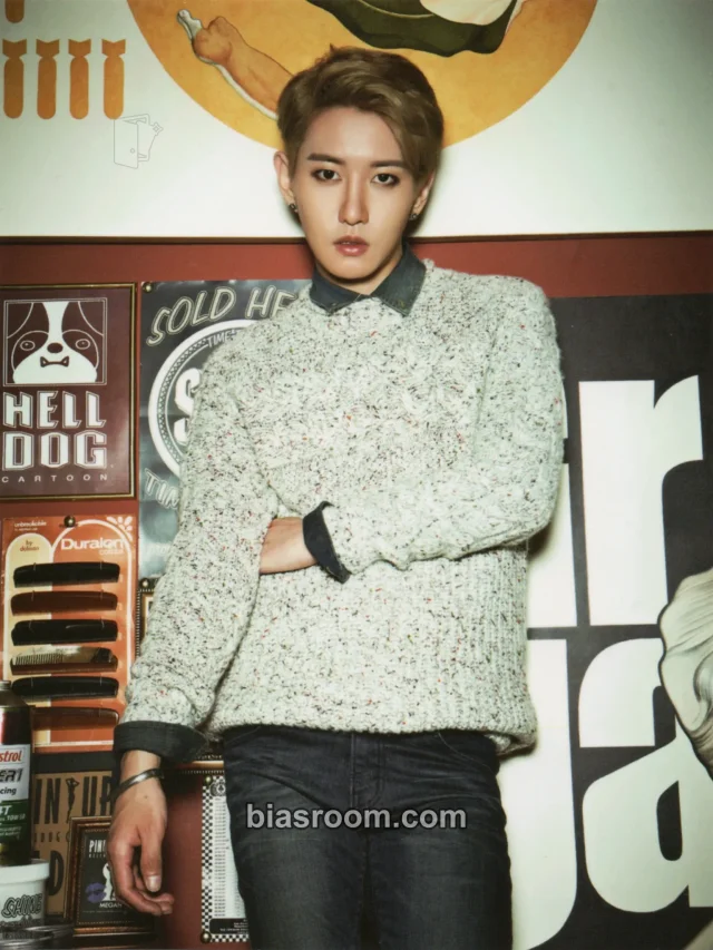 B-Bomb Block B 2014 Season's Greetings K-pop photocard