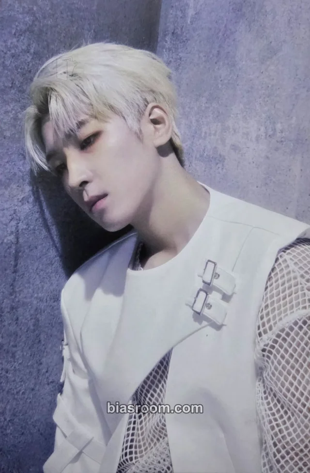 Wonwoo SEVENTEEN Face the Sun K-pop photocard