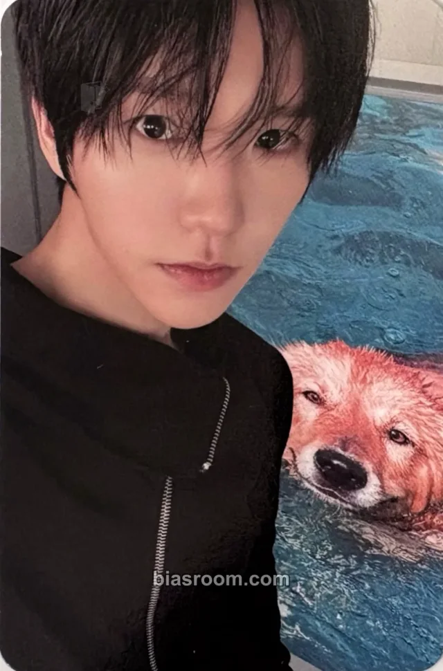 Jaehee NCT WISH I SPY K-pop photocard