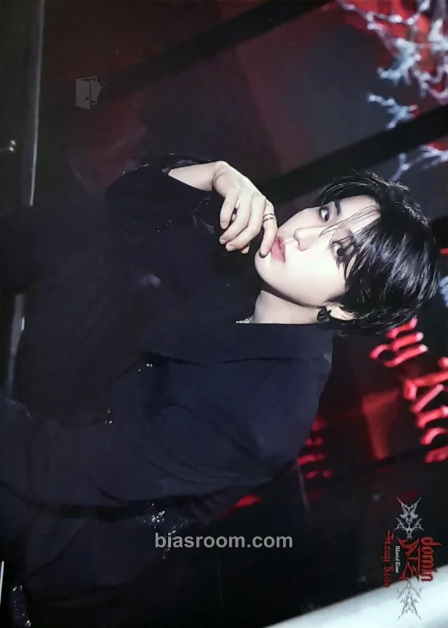 HAN Stray Kids DominATE World Tour K-pop photocard