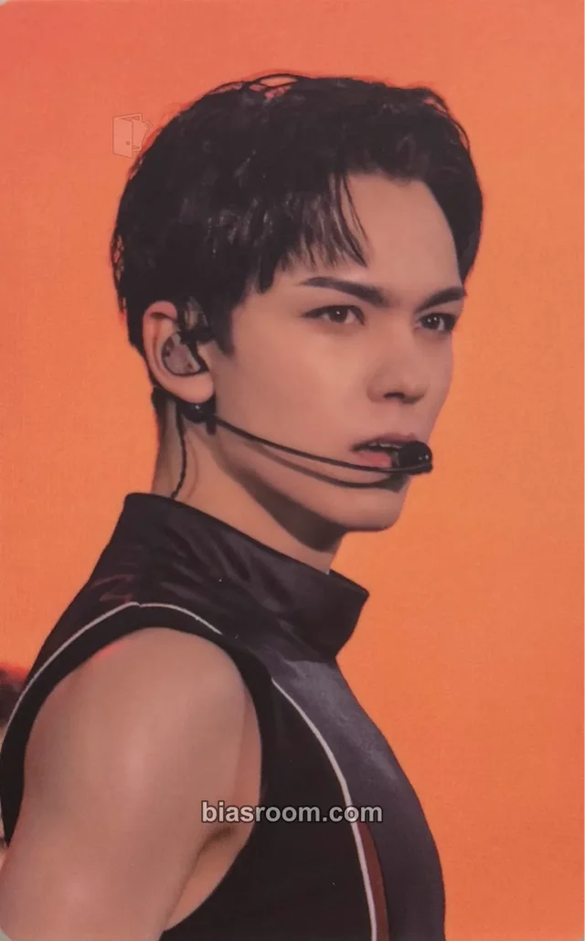 Vernon SEVENTEEN [FOLLOW FELLOW] TOUR K-pop photocard