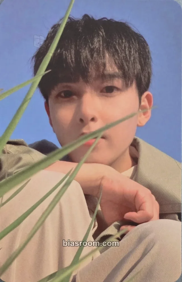 Ryeowook SUPER JUNIOR A Wild Rose (Ryeowook Solo) K-pop photocard