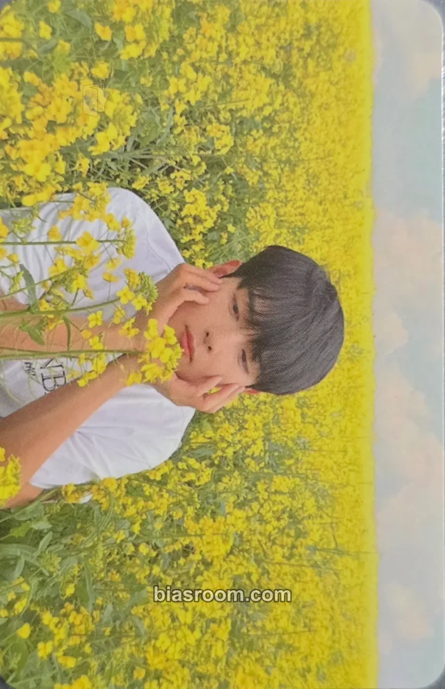 Ryeowook SUPER JUNIOR A Wild Rose (Ryeowook Solo) K-pop photocard