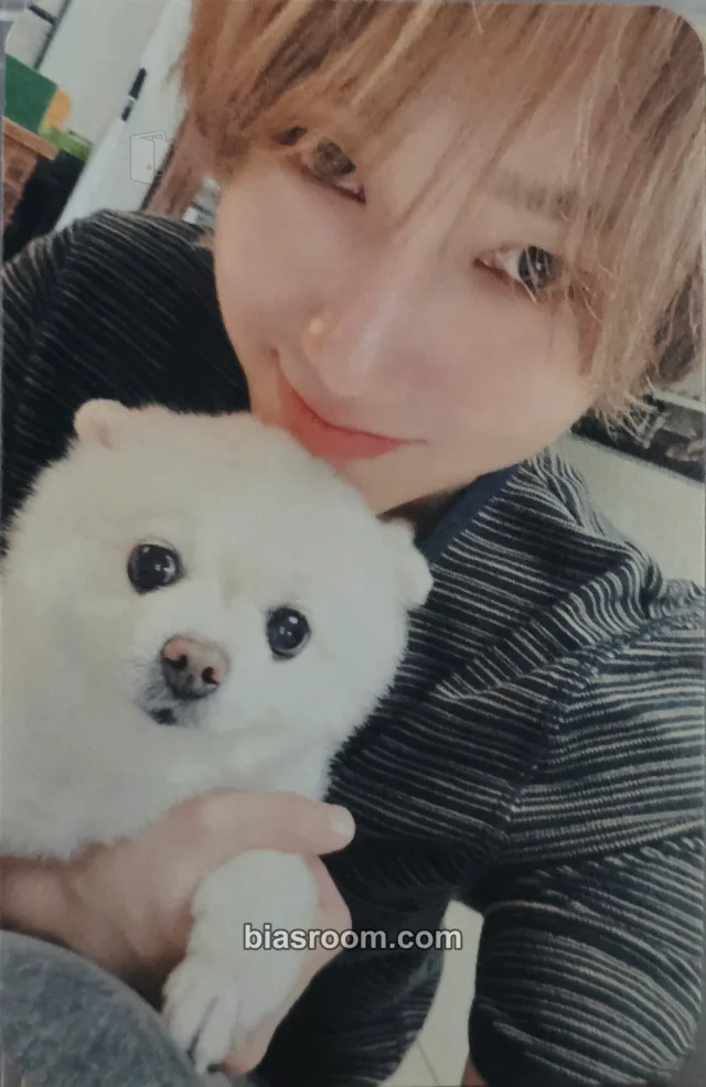 Yesung SUPER JUNIOR Unfading Sense (Yesung Solo) K-pop photocard