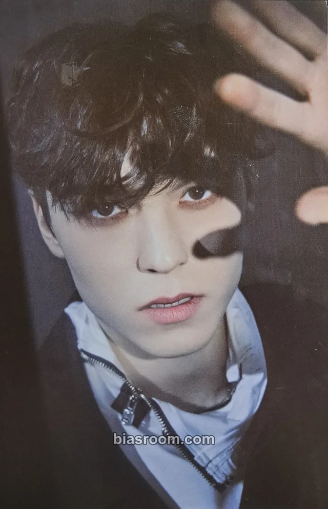 Vernon SEVENTEEN Face the Sun K-pop 小卡