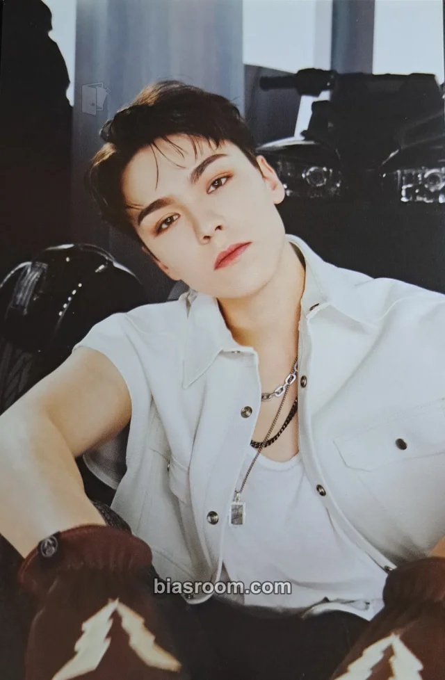 Vernon SEVENTEEN Face the Sun K-pop 小卡