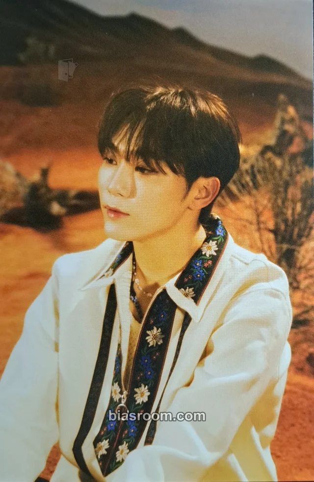 Seungkwan SEVENTEEN Face the Sun K-pop 小卡