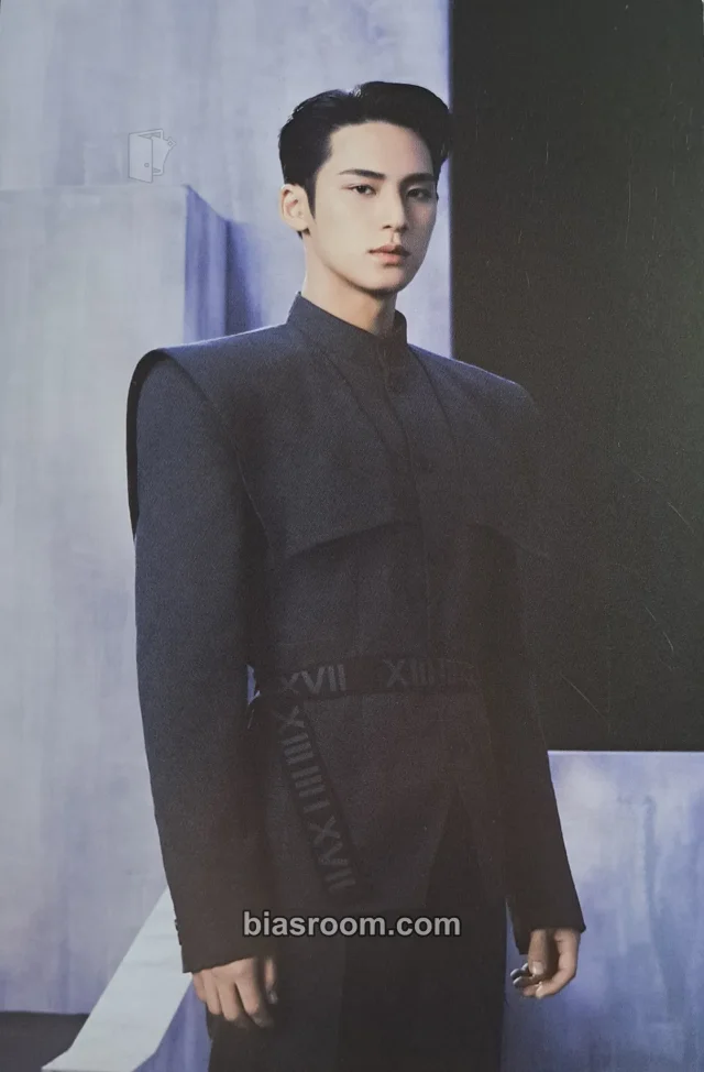 Mingyu SEVENTEEN Face the Sun K-pop 小卡