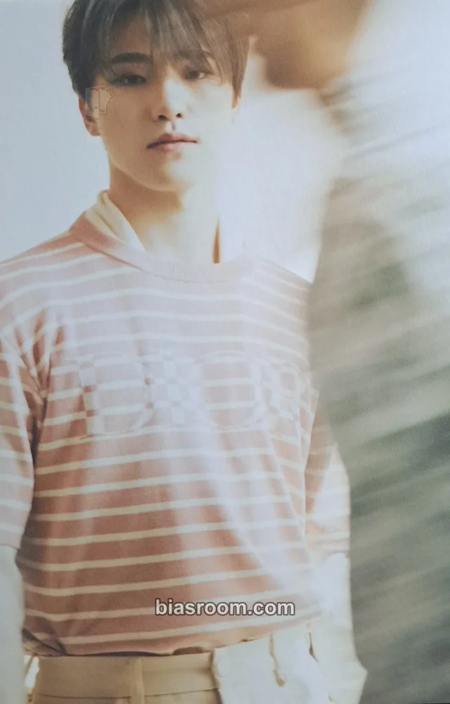 Photocard K-pop Dino SEVENTEEN Your Choice