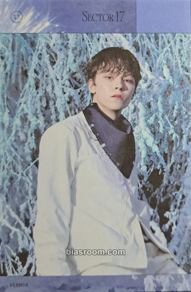 Vernon SEVENTEEN SECTOR 17 K-pop Photocard