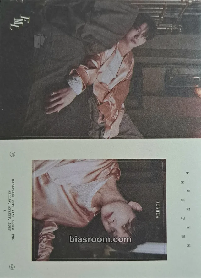 Photocard K-pop Joshua SEVENTEEN FML