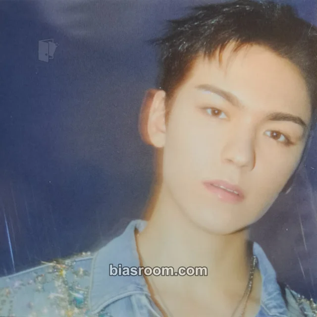 Vernon SEVENTEEN Seventeenth Heaven K-pop Photocard