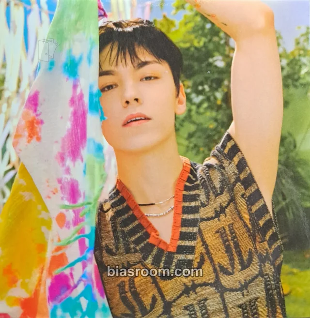 Vernon SEVENTEEN Seventeenth Heaven K-pop Photocard