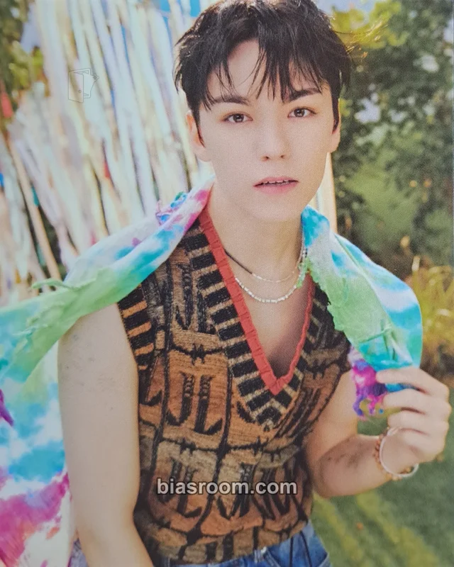 Vernon SEVENTEEN Seventeenth Heaven K-pop Photocard