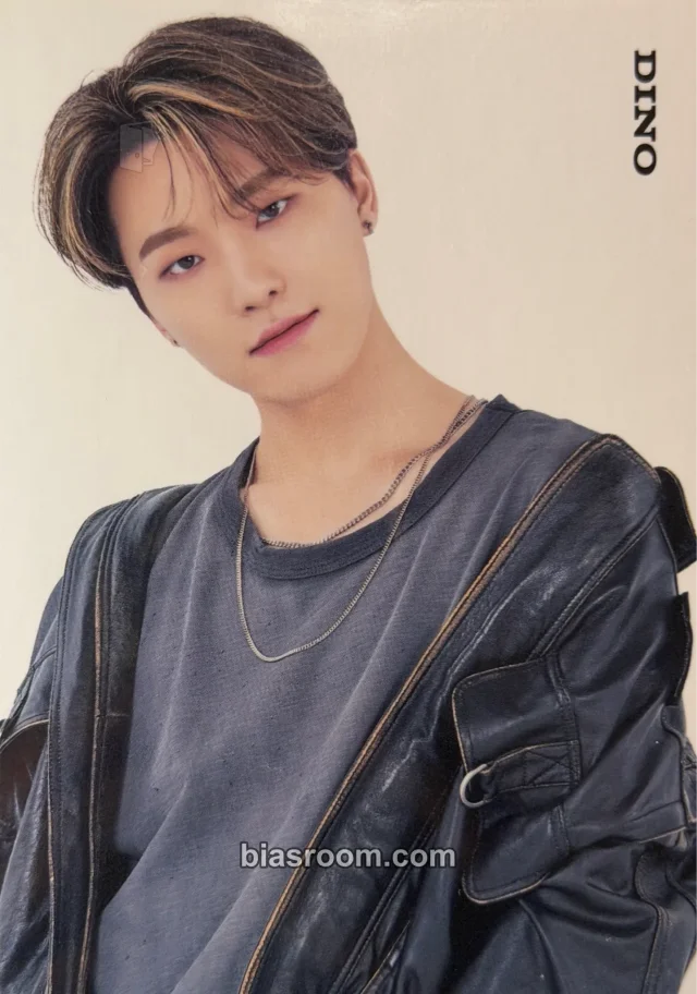 Photocard K-pop Dino SEVENTEEN 2021 JAPAN FANMEETING [HARE]