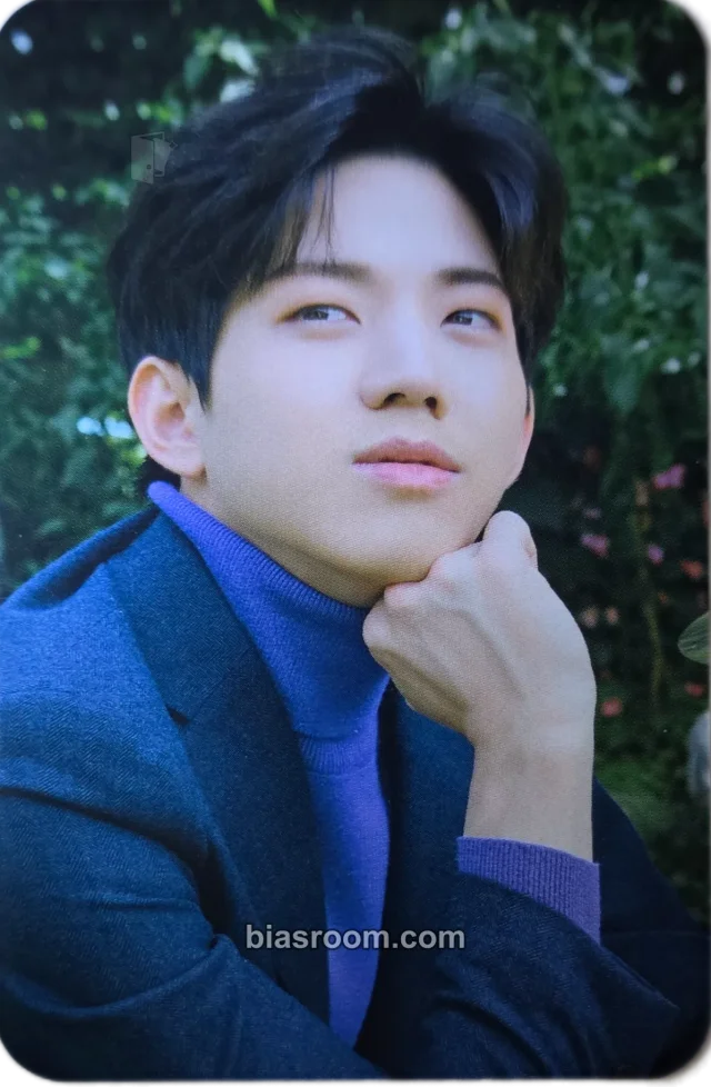 Photocard K-pop Dowoon  DAY6  2019 Special Concert - The Present
