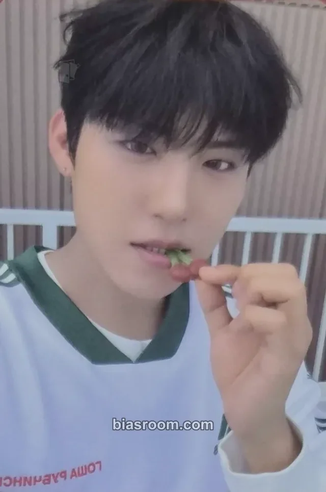 Woojin Park Woojin Solstice K-pop photocard