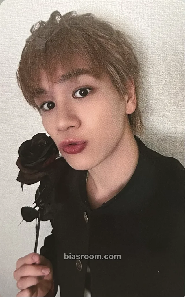 Issei Mamehara JO1 2026 JO1 NORTH AMERICAN TOUR 'ANIMAL' K-pop photocard
