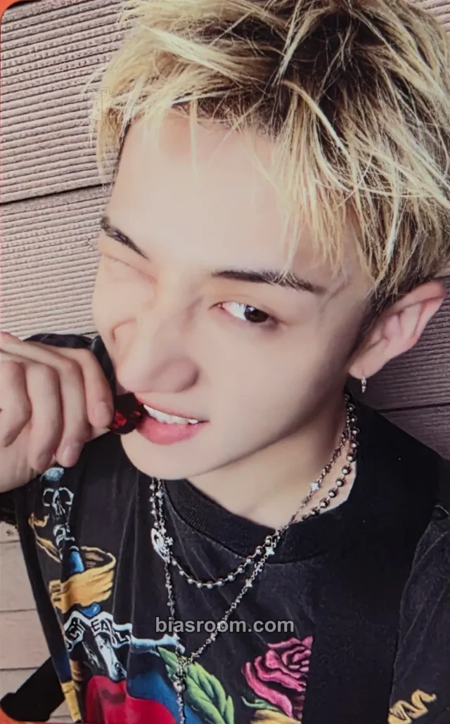 Photocard K-pop Bang Chan Stray Kids THIS & THAT
