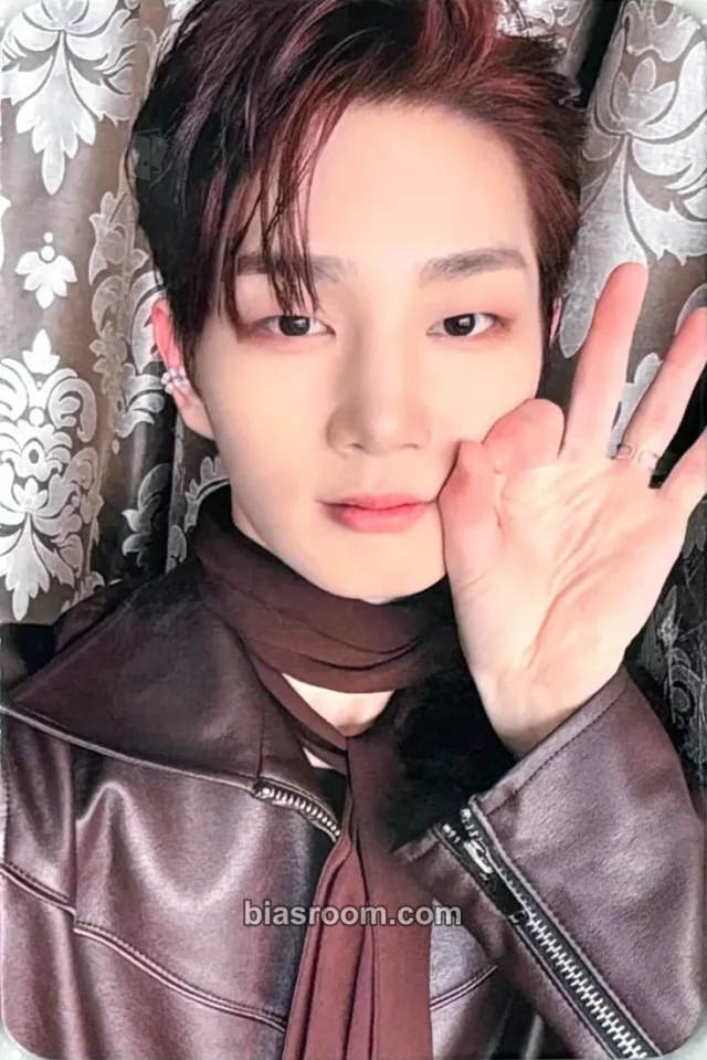 Changuk  DRIPPIN Beautiful MAZE K-pop photocard