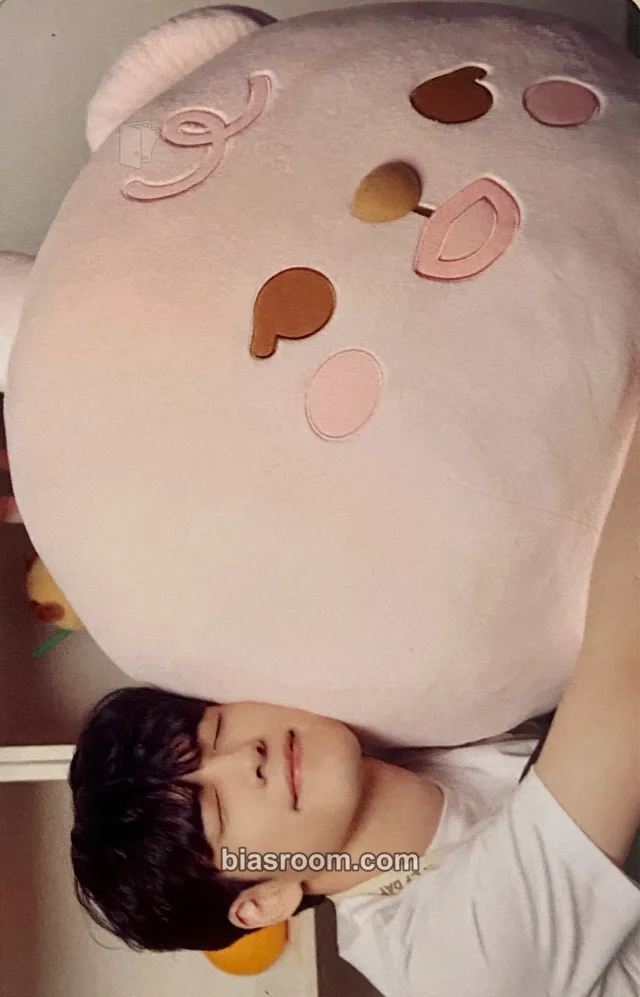 Wonpil DAY6  DAY6 × Soul Cup K-pop photocard