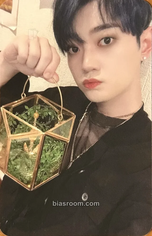 Bit-to UP10TION The Moment of Illusion K-pop photocard