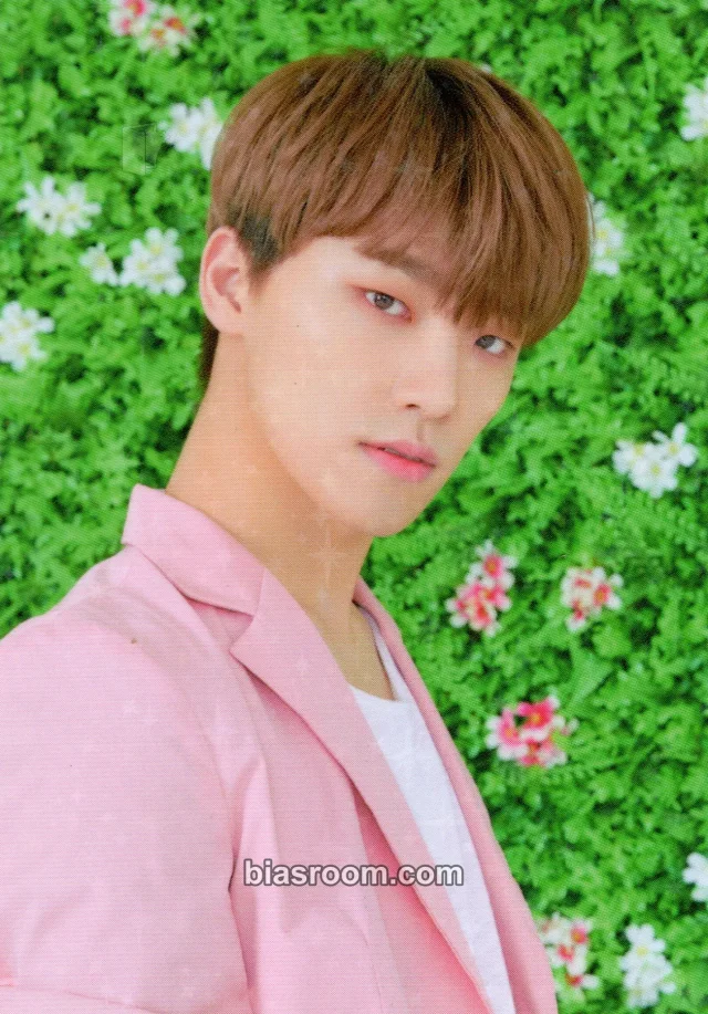 Dino SEVENTEEN [HARU] TOUR K-pop photocard