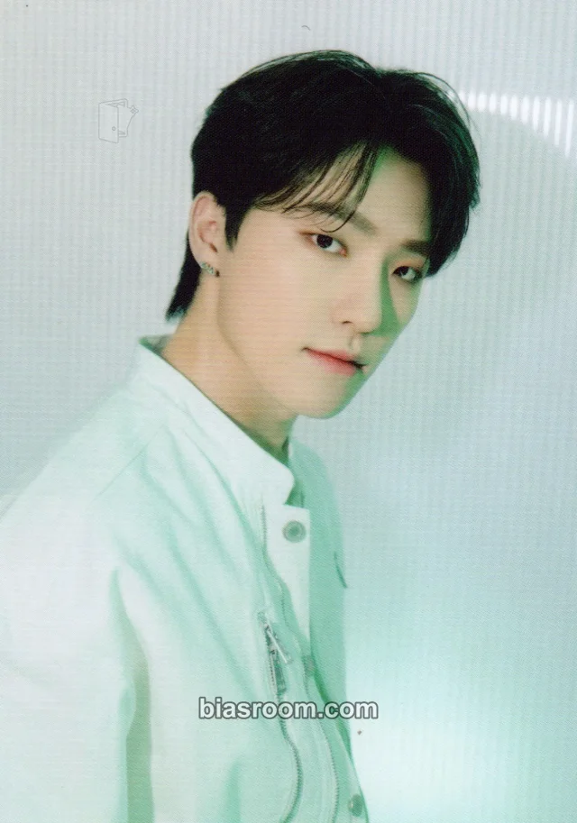 Photocard K-pop Dino SEVENTEEN [FOLLOW AGAIN] TOUR