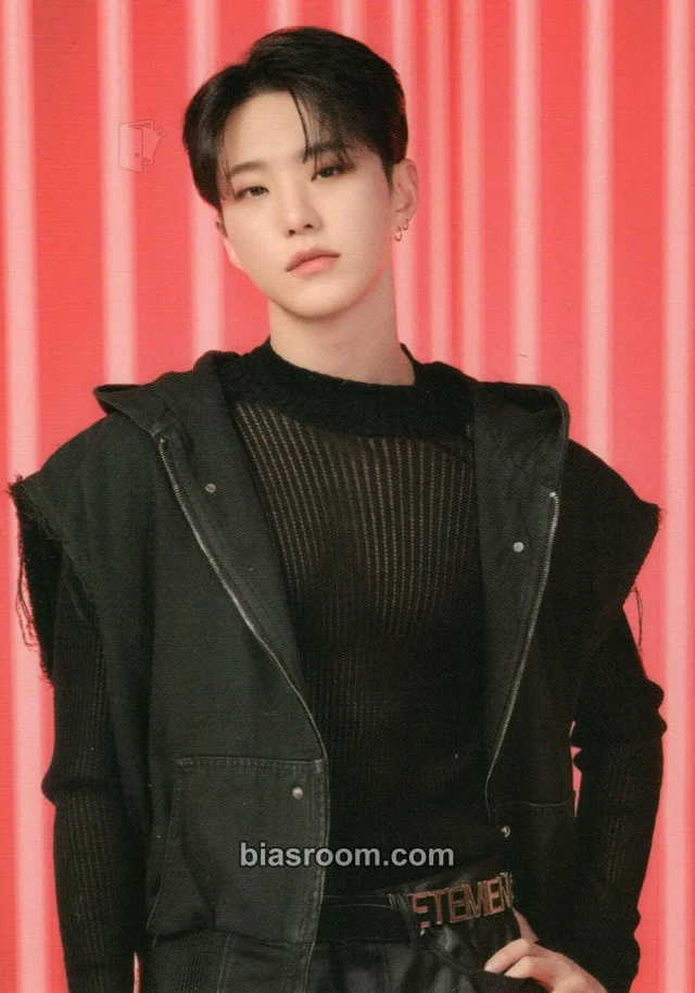 Hoshi SEVENTEEN [FOLLOW] TOUR K-pop photocard