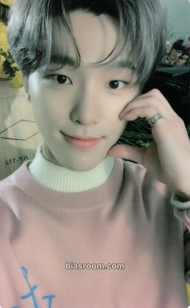 Dino SEVENTEEN Your Choice K-pop photocard