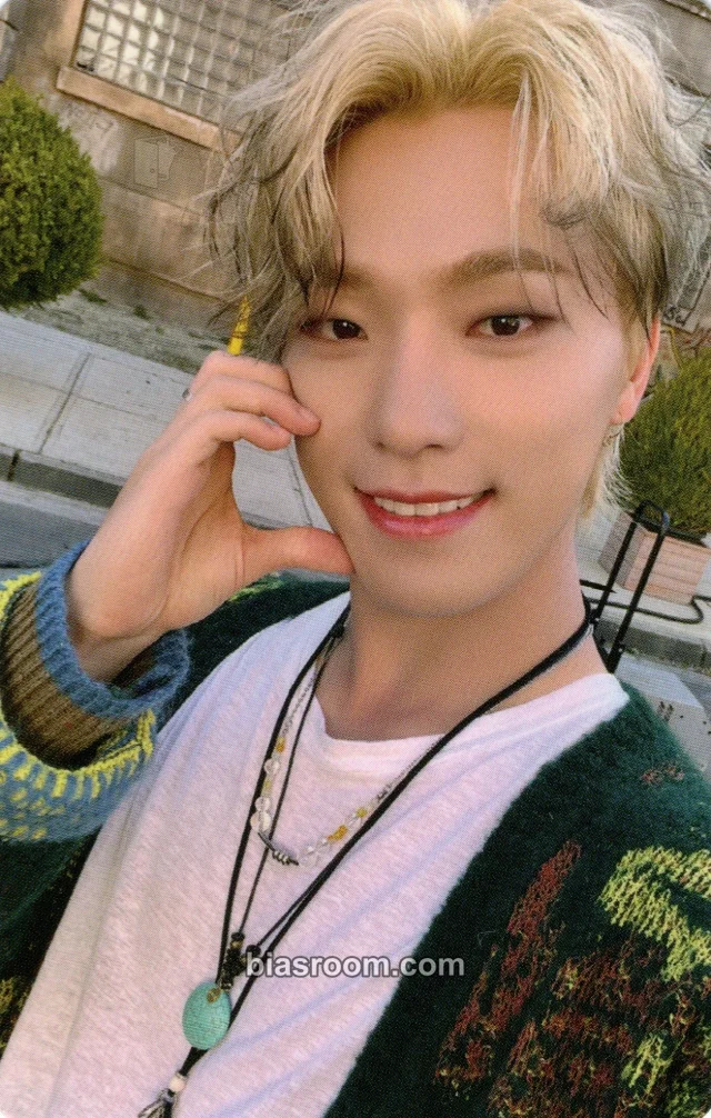 Dino SEVENTEEN Seventeenth Heaven K-pop photocard