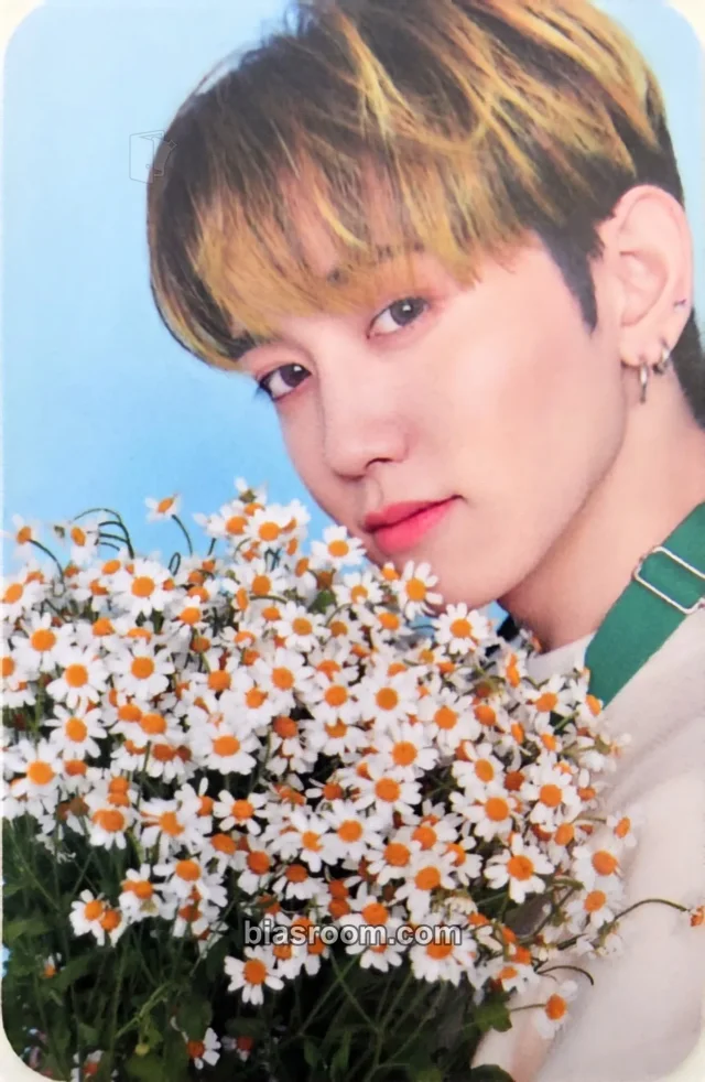 Mashiho TREASURE Blooming Treasure K-pop photocard