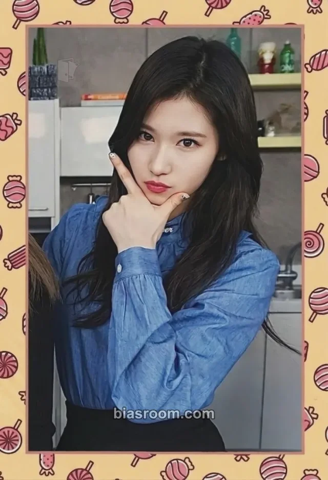 Sana TWICE TWICE TV 4 DVD K-pop photocard