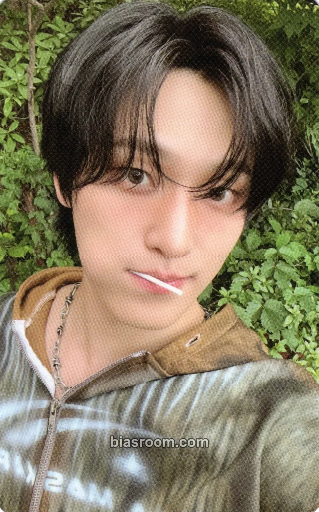 Dino SEVENTEEN DINOxPICHEOLIN [吉BOARD SHOW] K-pop photocard