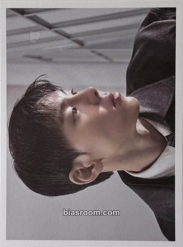 Shownu MONSTA X The Phase K-pop photocard