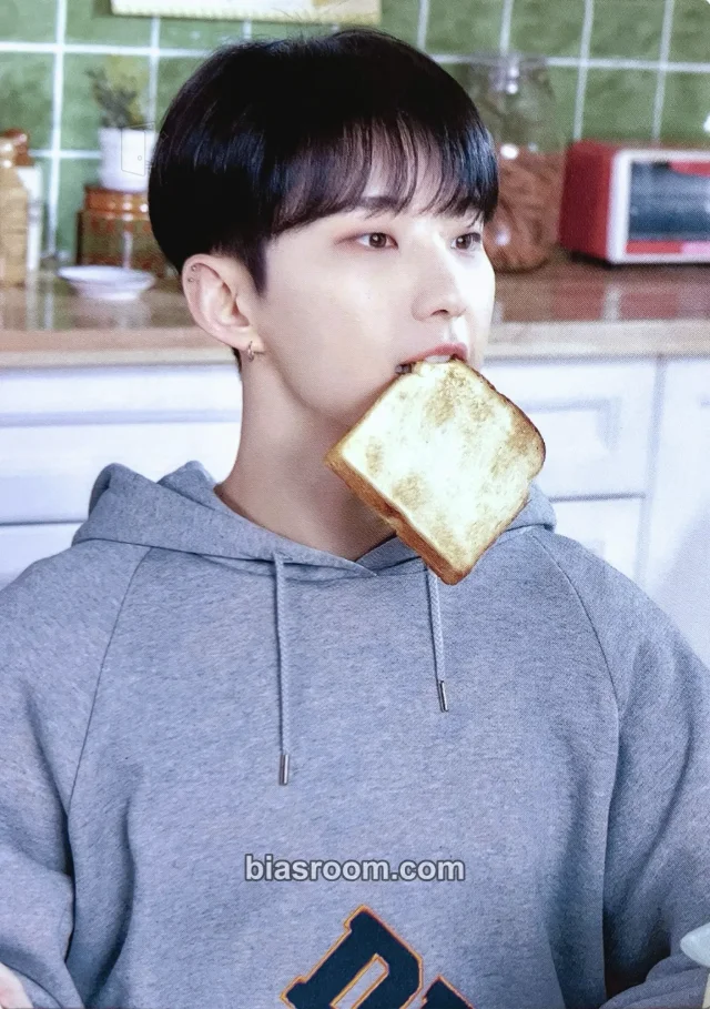 Hoshi SEVENTEEN 2023 Seventeen's Home Merchandise K-pop photocard